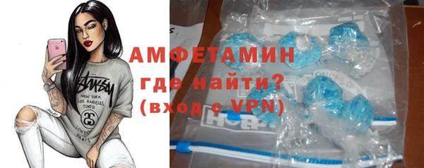 индика Армянск