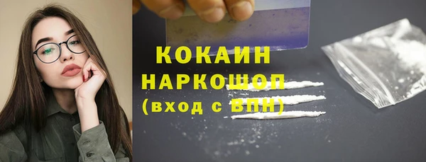 индика Армянск