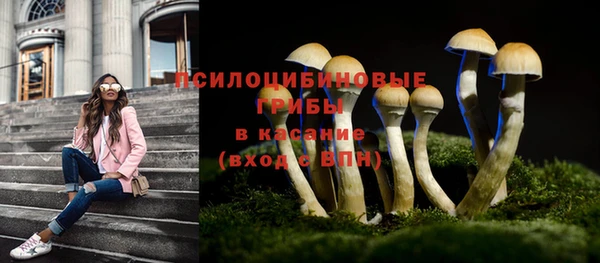 Альфа ПВП Арсеньев