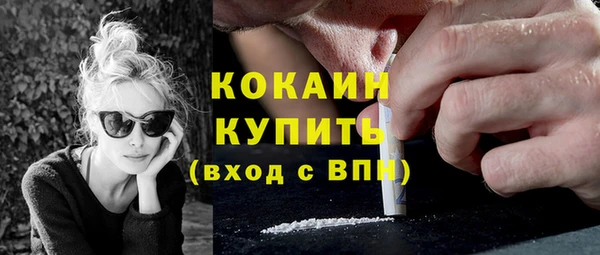 индика Армянск