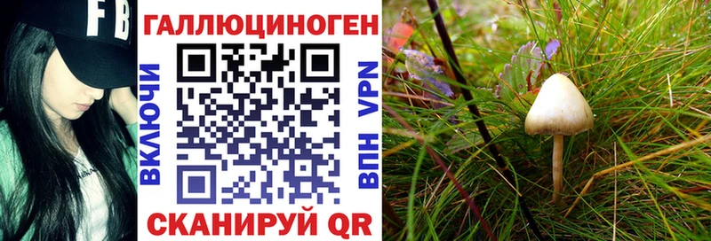 Псилоцибиновые грибы прущие грибы  Гурьевск 